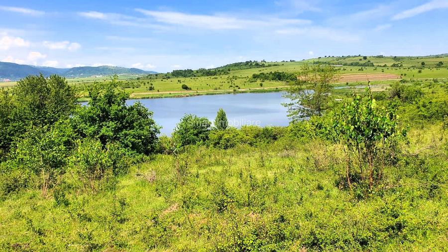 Teren extravilan 3200mp lac Sacel - 5