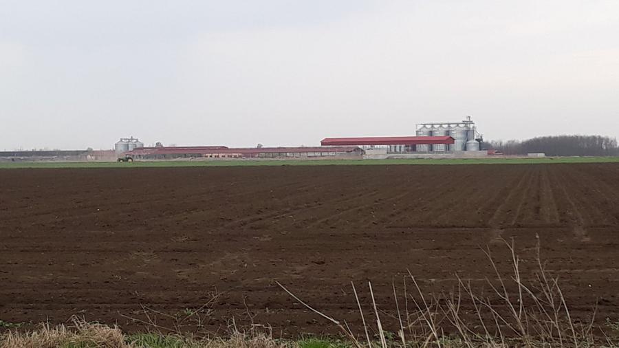 De vanzare Ferma Vaci