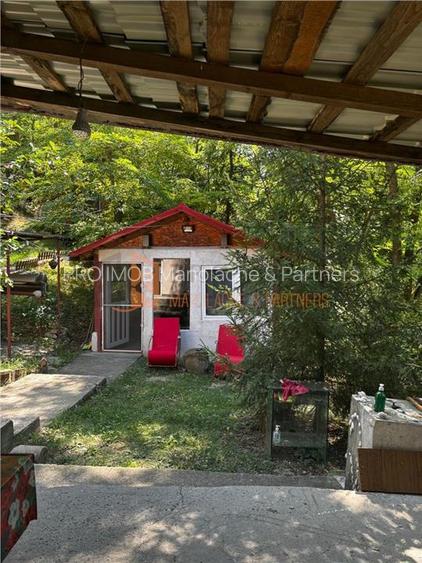 Ansamblu cabanute zona Cozieni - 18