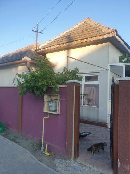 Cogealac - casa cu 3 camere, 1500 mp teren