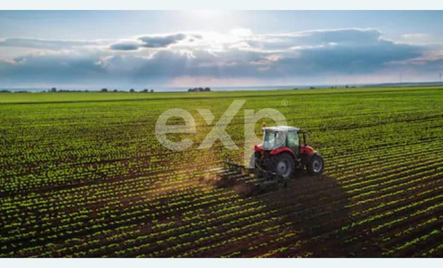 Teren agricol extravilan de vânzare – 22.960 mp – Măreș, Albota, Argeș