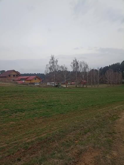 De vânzare terenuri intravilane în Reci
