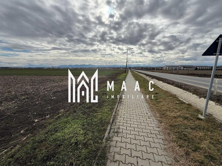 Teren intravilan | 9600 mp | Șură Mică | Utilități | Drum Asfaltat