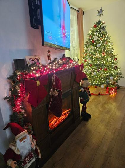 CASA DE VANZARE CUMPANA 166 MP UTILI| 217 MP TEREN | 4 CAMERE|