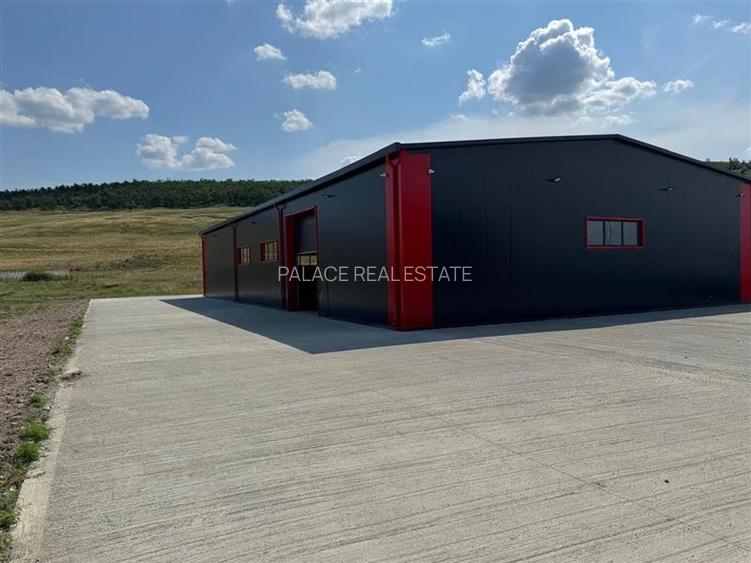 Parc Logistic in Miroslava alcătuit din 5 hale - 13
