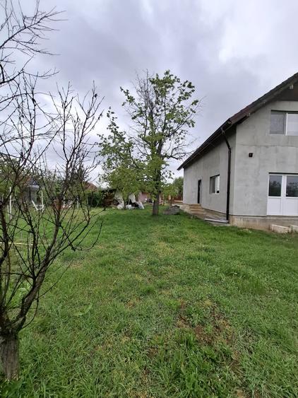 Comision 0 - Casa de vanzare in Carani, Jud. Timis, utilitati complete