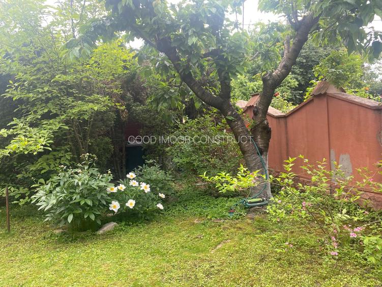 Vila cochetă Pipera, teren 650 mp - 33