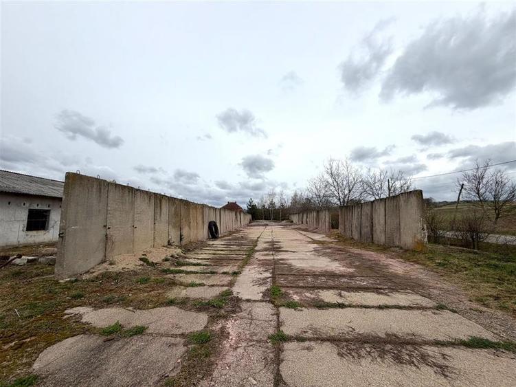 HALE INDUSTRIALE | CLADIRE BIROURI | TEREN 7000 MP | GHEGHIE BIHOR