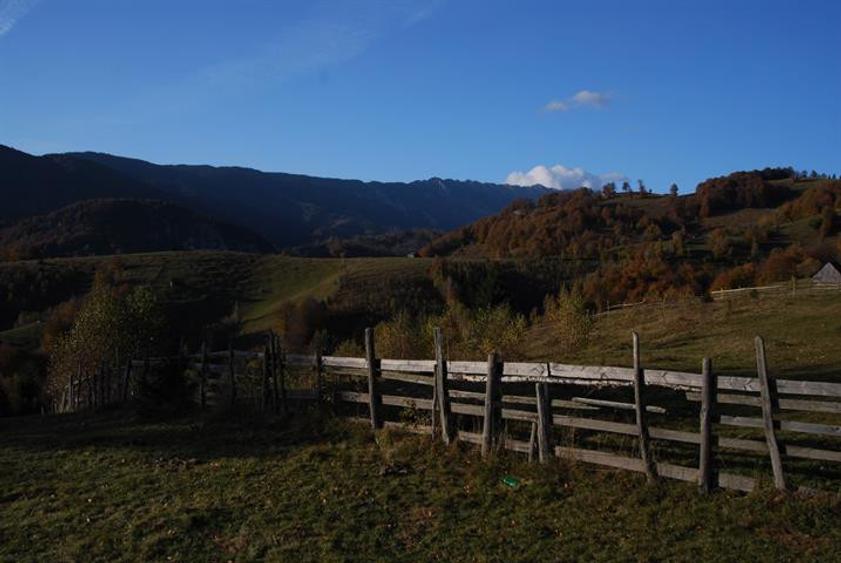Vand teren Arges in Dambovicioara 12 150 mp vedere Piatra Craiului