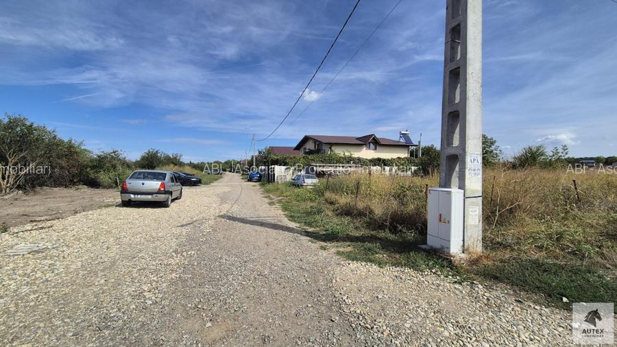 Teren casa 700 mp la Asfalt aproape de Centrul orasului Magurele - 5
