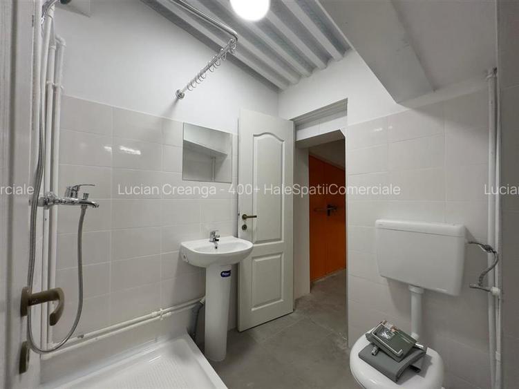 Hale Calea Chisinaului Iasi aproape de Carrefour de la 65mp la 2000mp - 19
