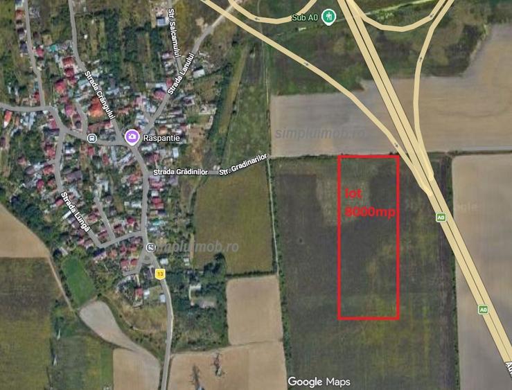 Terem 8000 mp Comuna Manolache ilfov