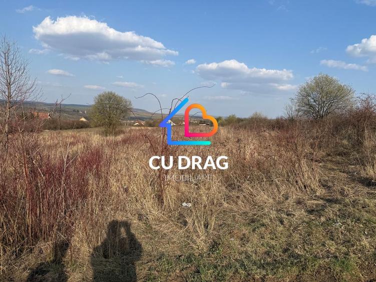 Teren intravilan cu toate utilitatile si drum amenajat Daia