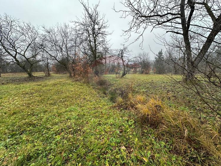 TEREN  pentru CASA