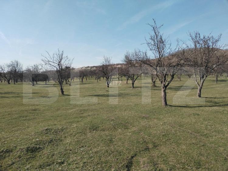 Teren intravilan cu suprafață de 9ha, Aninoasa - 3