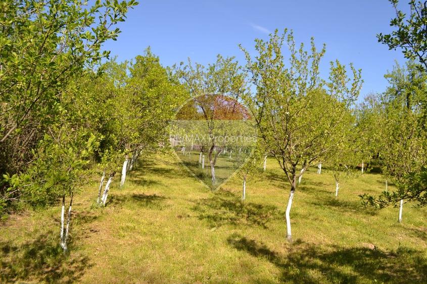 Casă / Vilă de vânzare Picior de Munte, Dambovita - 17