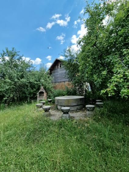Balilesti - Stradal, casa spatioasa, 4600 mp teren intravilan - curte spatioasa