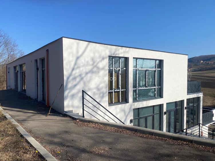 Vand DUPLEX cu 300 mp utili per unitate Valea Seaca Cluj - 2