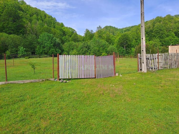 Teren de vz in Berevoiesti / AG ( zona Pastravaria Rausor)
