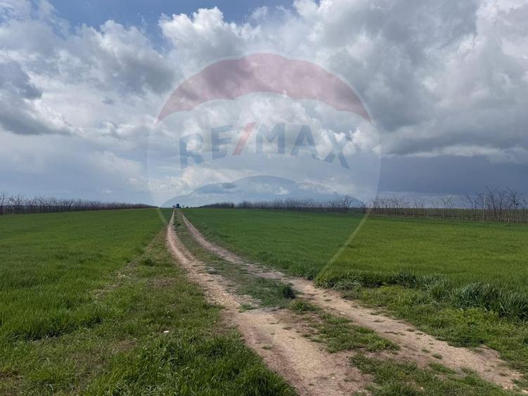 Teren de vanzare in Săcele ideal pentru silozuri, fermă 6 ha