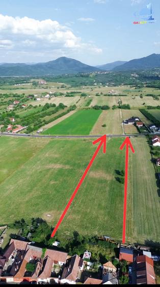 Teren De Vanzare 9900 Mp 3 km Bran 25 km Brasov