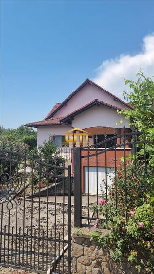🏡 Casă de vânzare în Păușești-Măglași, sat Vlăduceni – panoramă deosebită, tera