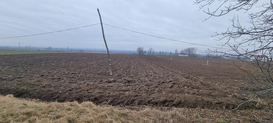 Teren la asfalt in Bucecea