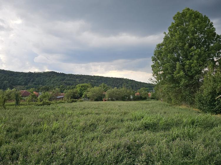 Casa cu teren , localitatea Birtin