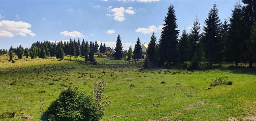 Oportunitare | Teren 1350 mp cu PUZ | Belis