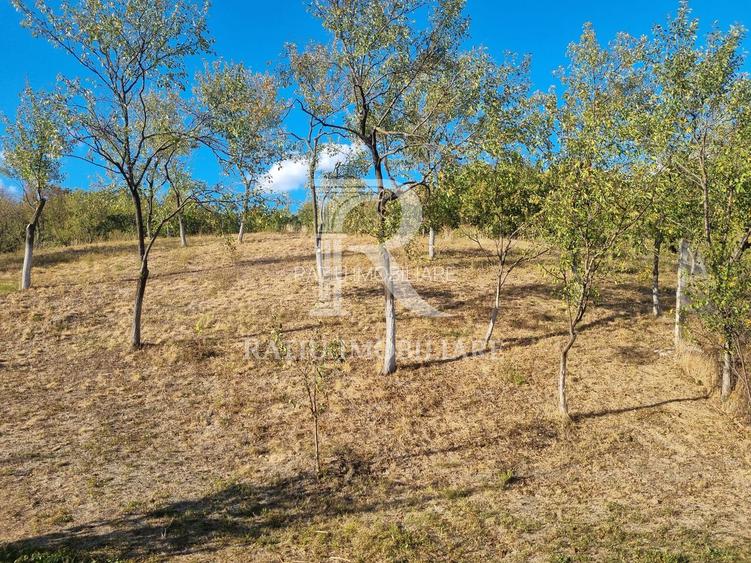 Casă renovata cu teren generos | Anexe | Gurasada | Hunedoara - 46