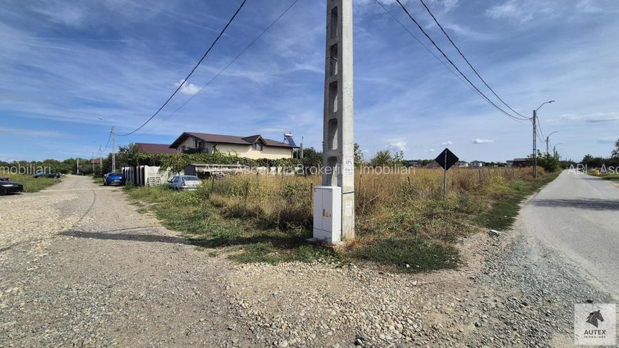 Teren casa 700 mp la Asfalt aproape de Centrul orasului Magurele - 6