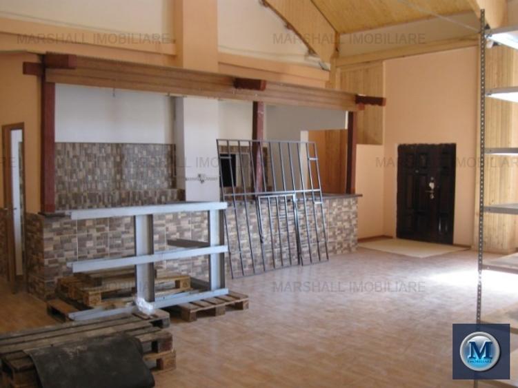 Spatiu industrial de vanzare, zona Nord, 706 mp #10833