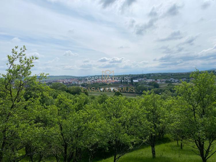 Teren de vânzare în Cisnădioara, aproape de cetate, cu priveliște superbă - 10