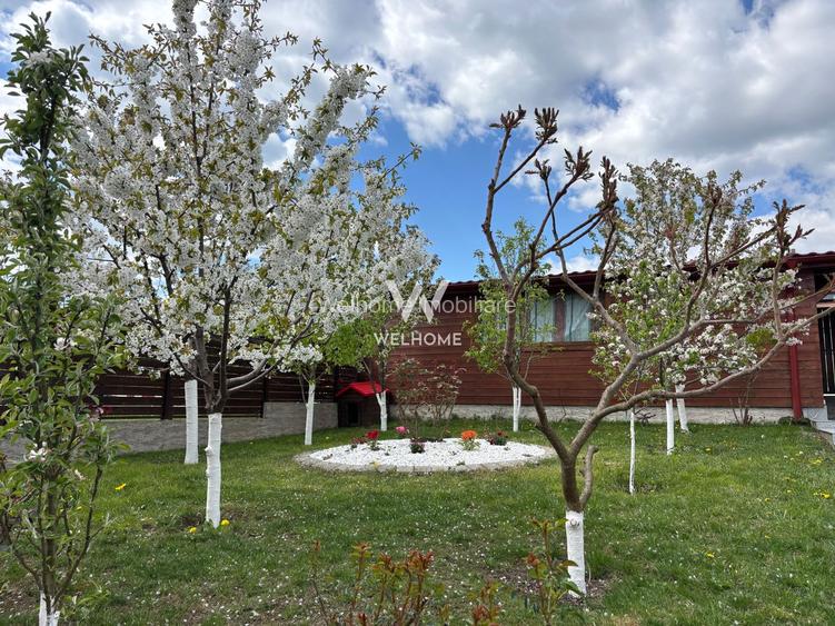 Casa 5 camere cu teren GENEROS si CARPORT - Cartierul Arhitectilor - 22