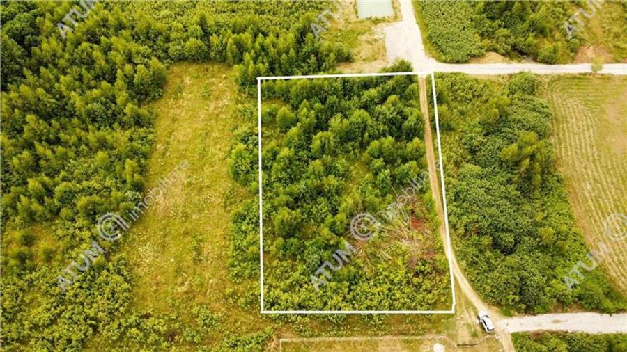 Teren intravilan 3900 mp Porumbacu de Sus, Sibiu