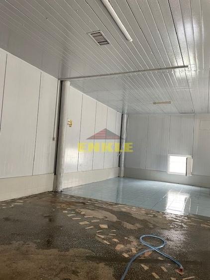De vânzare: Hală industrială cu anexă birouri/apartament