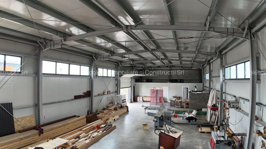 Hală industrială nouă de vânzare – Becicherecu Mic, Tims - 6