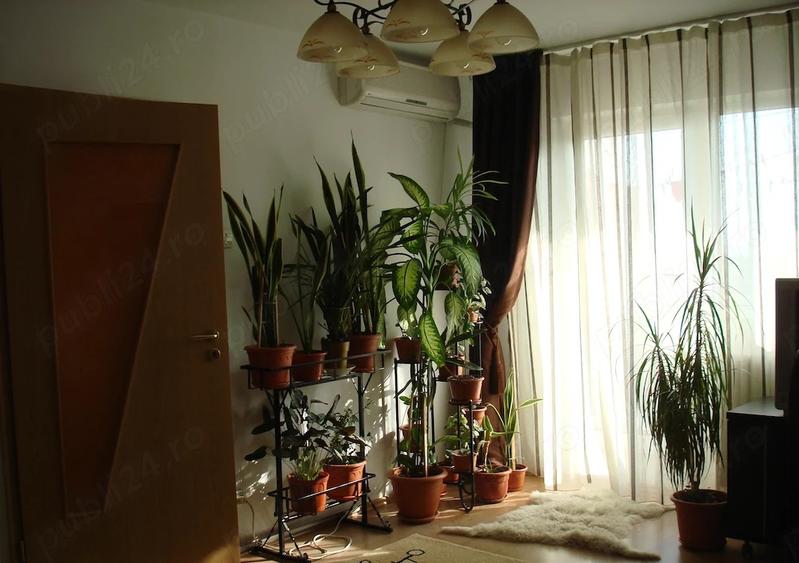 Apartament 2 Camere | Decomandat | Dristor
