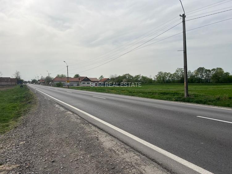 Teren intravilan, 2400 mp, Lunca Calnicului, DN11 - 3