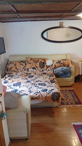 Proprietate de vanzare in Golești - 10800 mp teren și două case - 8