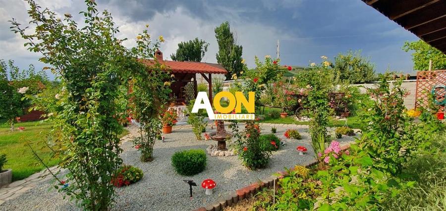 Casa 10 camere, 1000 mp teren, la asfalt, Barabant