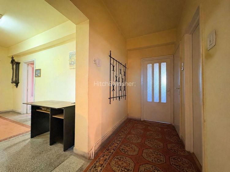 4 camere, suprafata generoasa, vedere panoramica spre raul Timis - 8