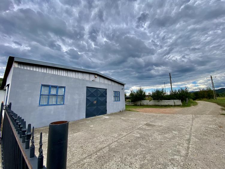Spațiu Industrial, Logistic 2.500 mp, Teren 6.500 mp, Acces TIR, A7 Buzau
