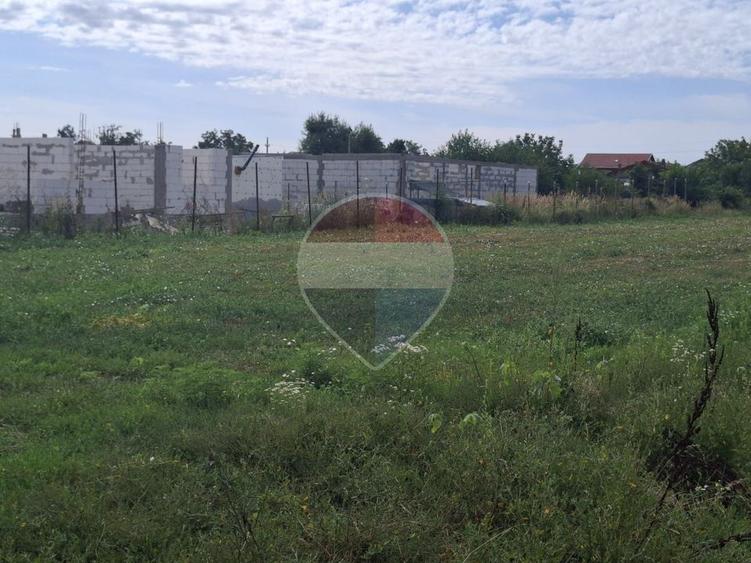Vanzare teren extravilan 28800 mp, sat Posta, jud Giurgiu