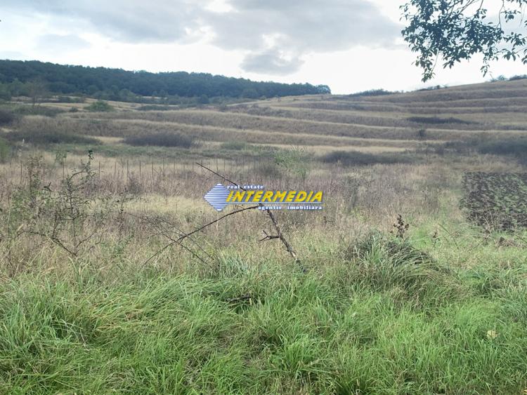Teren intravilan de vanzare 1248 mp d=15 mTeleac cu utilitati panorama deosebita