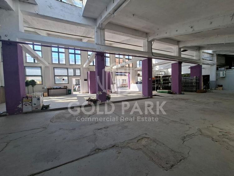 Spațiu Industrial / Depozitare / Producție – 468 mp – Zona Piața 1 Ma