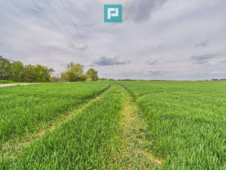 Teren extravilan 19.900 mp – Giroc centură