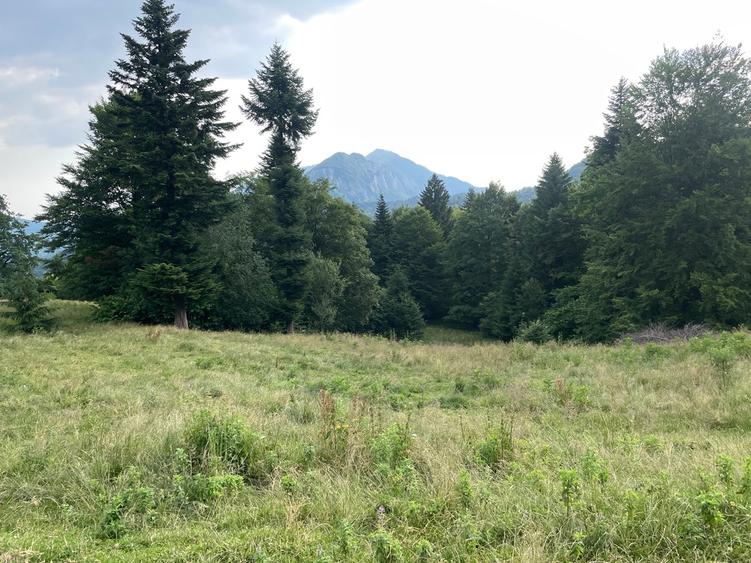 Teren intravilan dezvoltare turistica Hoteluri/Pensiuni S+P+2E+M