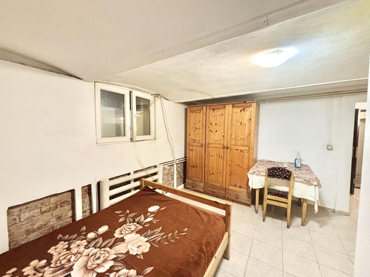 Apartament 1 camera - Take Ionescu DEMISOL