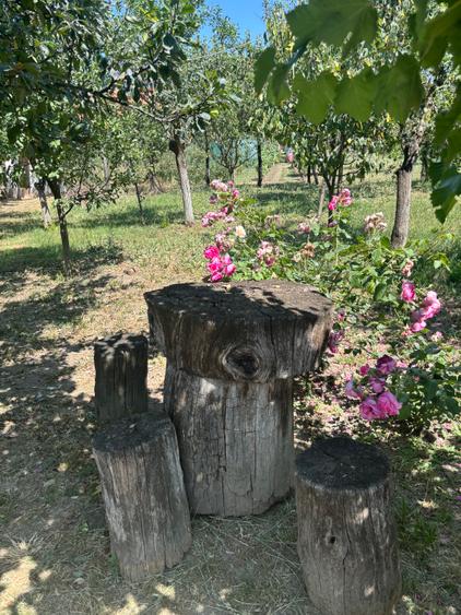 Vand casa in sag cu  gradina mare 277000 euro